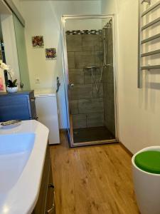a bathroom with a shower with a glass door at Haus Steffine in Annahütte +12 photos