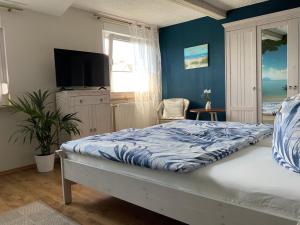a bedroom with a bed with a television and a window at Haus Steffine in Annahütte