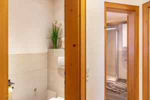 a bathroom with a shower and a toilet and a sink at Apart Celina in Oetz +23 photos
