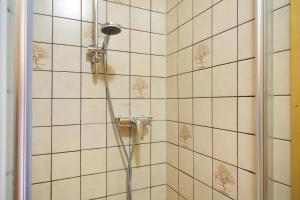 a shower with a shower head in a tiled bathroom at Eifelferienhaus Thome Lissendorf in Lissendorf +20 photos