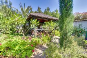 a garden with a small building in the middle at Villa Morera in Arafo