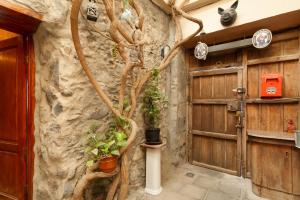 a room with a stone wall with plants on it at Casa Rústica San Francisco 1 in Telde
