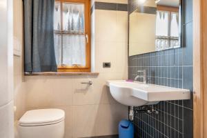 a small bathroom with a sink and a toilet at Apartment Sassolungo in Campitello di Fassa +21 photos
