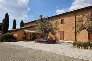 a building with a tree in front of it at Agriturismo Petra in Suvereto