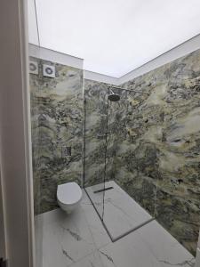 a bathroom with a shower and a toilet in it at Apartament DeLux cu Jacuzzi Caciulata in Căciulata