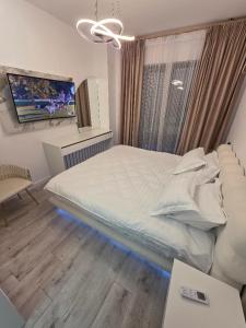 a bedroom with a large bed and a tv at Apartament DeLux cu Jacuzzi Caciulata in Căciulata