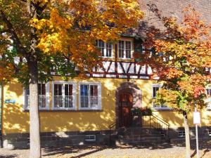 a yellow house with a tree in front of it at Kanne Honeymoon Apartment in Trichtingen +19 photos