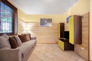 a living room with a couch and a television at Maison Chateau Chatillon in Châtillon