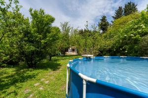 a large swimming pool in a yard with trees at La Petite Palasse in Le Thor