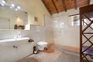 a bathroom with a sink and a toilet and a shower at Casa de Campo in Betancuría