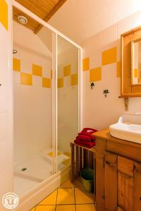 a bathroom with a shower and a sink at Gîte Au Pré De La Basse in Orcier +15 photos