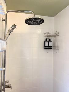 a shower with a shower head in a bathroom at Ferienwohnung Immergrün in Stetten am Kalten Markt +37 photos