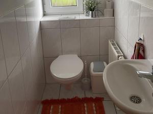 a small bathroom with a toilet and a sink at Ferienwohnung - Haus Waibel in Überlingen