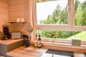 a kitchen with two windows in a tiny house at Panoramahisli 3 in Fischerbach
