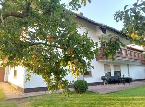 a white house with a tree in front of it at Ferienwohnung Wandersnest in Gersfeld