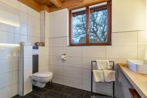 a bathroom with a toilet and a sink and a window at Vorderbühlhof in Oppenau +14 photos