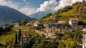a village on a hill with houses and vineyards at Levita Living Anima in Tirolo