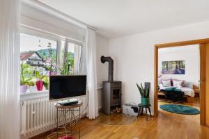 a living room with a television and a fireplace at Fewo Sartorius in Bensheim
