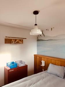a bedroom with a bed and a light fixture at La Parenthèse du Léman in Évian-les-Bains