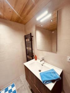 a bathroom with a sink and a mirror at La Parenthèse du Léman in Évian-les-Bains +16 photos