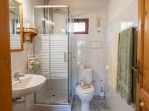 a bathroom with a toilet and a sink and a shower at Stateček plný zvířátek in Žlebské Chvalovice