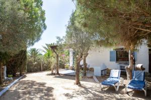 a yard with two blue chairs and trees at Casa Azul - Vejer, El Palmar in Vejer de la Frontera