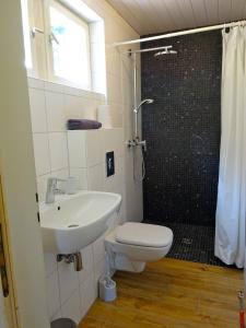 a bathroom with a toilet and a sink and a shower at Fewo Moonshine 79 in St. Blasien +16 photos