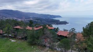 a house on a hill next to the ocean at Diamond Koru Hotel in Amasra