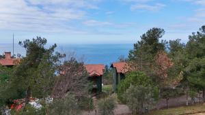 a house with a view of the ocean at Diamond Koru Hotel in Amasra +18 photos