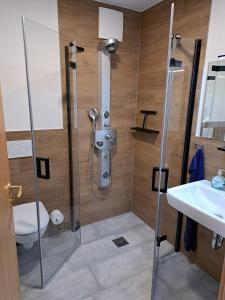 a bathroom with a shower and a toilet and a sink at Ferienwohnung Abendsonne in Nagel +31 photos