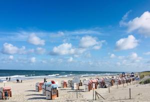 a beach with many beach huts on the sand at Lieblingsinsel in Graal-Müritz