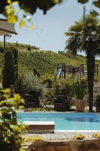 a swimming pool with chairs and a palm tree at Ferienwohnungen Winzerhof Keller in Auggen