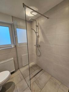 a shower with a glass door in a bathroom at Ferienhaus am Bach in Wieden +11 photos