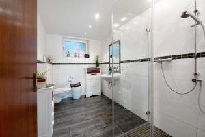 a bathroom with a shower and a toilet and a sink at Ferienwohnung Tibo in Wimbach +15 photos