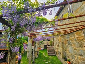 a garden with purple flowers hanging from a building at Casa rural O CARBALLO DA PEDRA in La Cañiza +37 photos