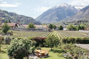 a view of a farm with mountains in the background at Freienfeldhof Golden in Lagundo +8 photos