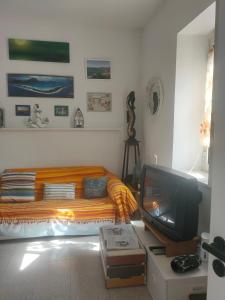 a living room with a couch and a tv at Casetta Esmeralda in Praia a Mare