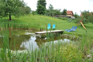 Loodusmaastik of the country house lähedal