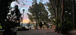 a park with trees and a street light and a sunset at El Pinar de la Loma in Moratalla