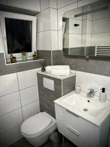 a bathroom with a sink and a toilet and a mirror at Deluxe - Apartment 'Andrei 2' in Neuburg an der Donau +17 photos