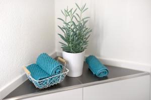 a shelf with two towels and a potted plant at Ferienwohnung Kleeblatt in Herbolzheim +15 photos