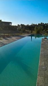 a large pool of blue water in a park at Vento di Maremma in Marina di Grosseto