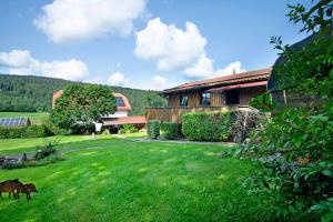 a house with a green yard with a horse in the grass at Pröllerhütte in Grün