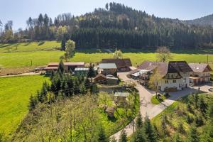 an aerial view of a village in a green field at Müllerleile Hof in Haslach im Kinzigtal