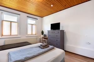 a bedroom with a bed and a flat screen tv at Kastanienallee 43 in Ilsenburg