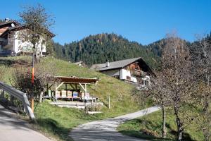 a house on the side of a hill next to a road at Innerjerberhof Sunnseit in Lauregno
