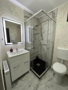 a bathroom with a shower and a sink and a toilet at Pensiunea Oficial in Prejmer +36 photos