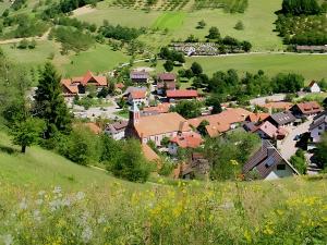 an aerial view of a village in a green field at Wohnung mit Balkon im Schwarzwald in Seebach