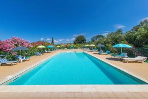a swimming pool with chairs and umbrellas at Il Nazareno - Il Gheppio in Cecina