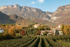 a vineyard in front of a mountain with a village at Meine Bleibe Apartment Olive in Appiano sulla Strada del Vino
